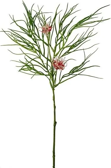 Konstväxt Grevillea, 70 cm
