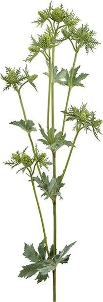 Konstväxt Tistel - grön - Products - Inredning - Dekoration & inredningsdetaljer - Prydnadssaker - Blomsterdekoration