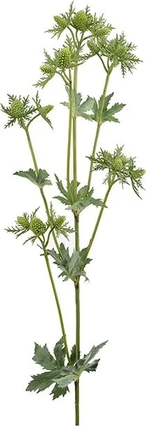 Konstväxt Tistel - grön - Products - Inredning - Dekoration & inredningsdetaljer - Prydnadssaker - Blomsterdekoration