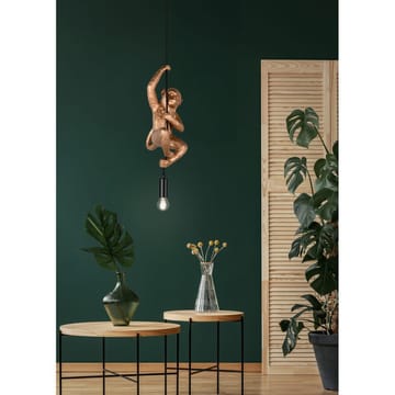 Pendel TRIO Fips - Guld - Products - Belysning - Lampor & belysning inomhus - Taklampa & takbelysning - Kökslampa & taklampa kök