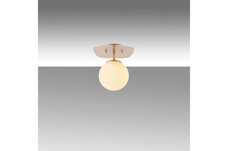 Taklampa Ariofield (20 x 25 x 25 cm) Rany, Rany