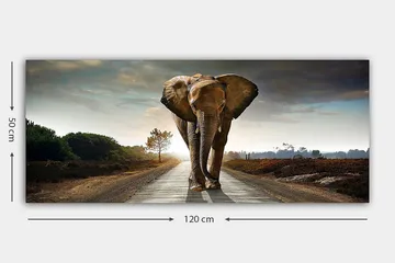 Canvastavla YTY Animals Flerfärgad - 120x50 cm - Products - Inredning - Tavlor & posters - Canvastavla