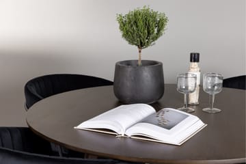 Kaseidon Matgrupp 100 cm Rund med 4 Selma Stolar - Mörkbrun - Products - Möbler - Bord & matgrupp - Matgrupp