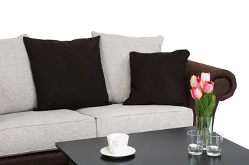 Toronto 2-sits Soffa - Brun/Beige - Products - Möbler - Soffa - Skinnsoffa