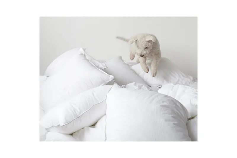 Kudde Hotellkudde - 50 x 60 cm (låg) - Products - Textil & mattor - Sängkläder