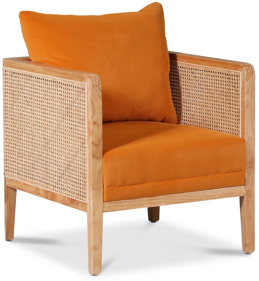 Leonardo lenestol - Rotting / Orange