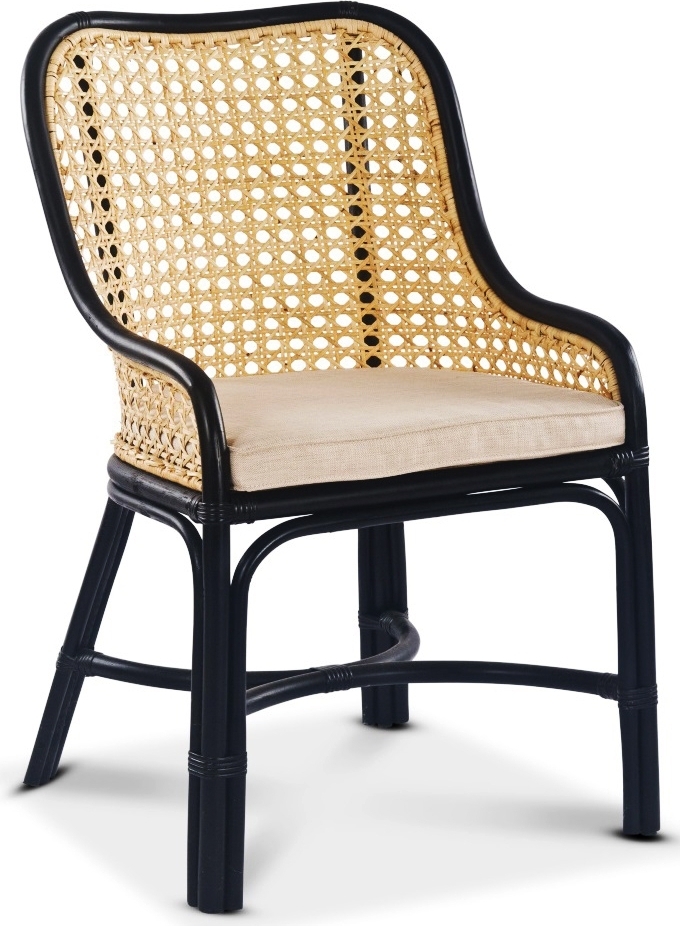 Åkerö spisestol - Svart/rotting + Tekstilpleie for møbler Åkerö spisestol - Svart/rotting + Tekstilpleie for møbler