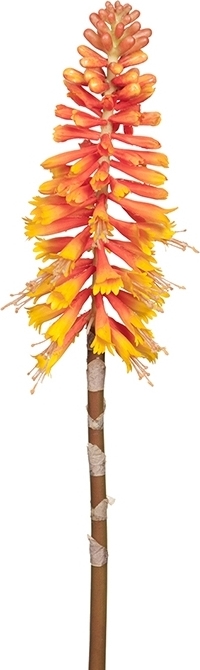 Kniphofia kunstig plante