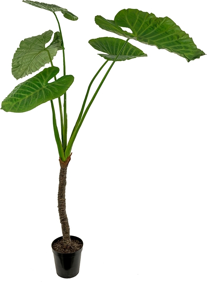 Alocasia kunstig plante