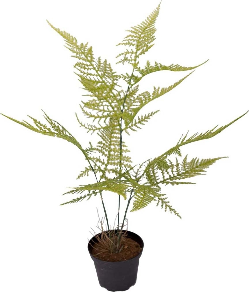 Plumosus kunstig plante