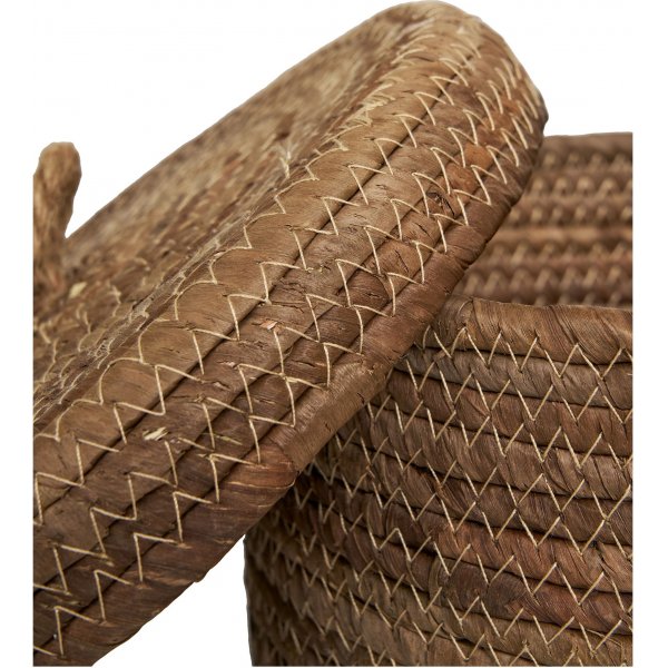 Desio kurvsett - Nature Desio kurvsett - Nature