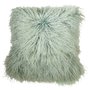 Tibet putevar freskinn - Mint
