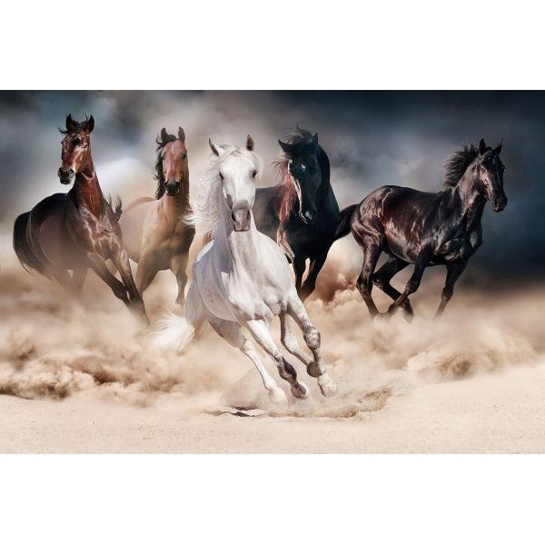 Glassbilde Horses - 120x80 cm