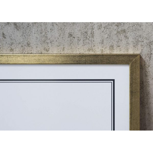 Ramme Deluxe (Gull) - 50x70 cm Plakat Ramme Deluxe (Gull) - 50x70 cm Plakat