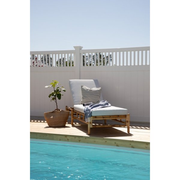 Cane solseng - Gr/rotting