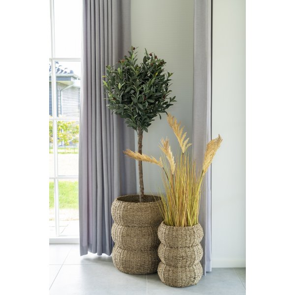 Sarbas kurvsett - Beige Sarbas kurvsett - Beige