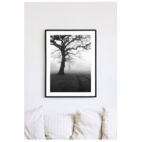Posterworld 50x70 cm - Motiv mørkt tre Posterworld 50x70 cm - Motiv mørkt tre