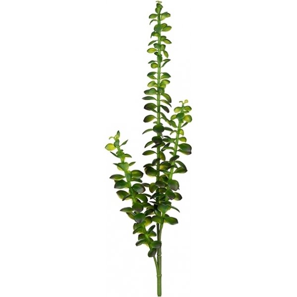 Succulent, kunstig plante