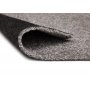 Ryematte Fidelma - Slv