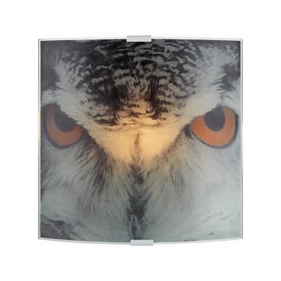 Owl Vegglampe
