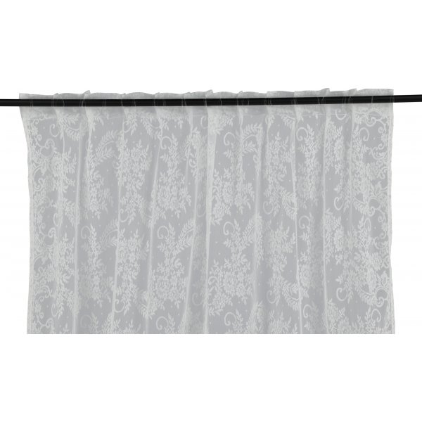 Bellis gardin - Hvit Bellis gardin - Hvit