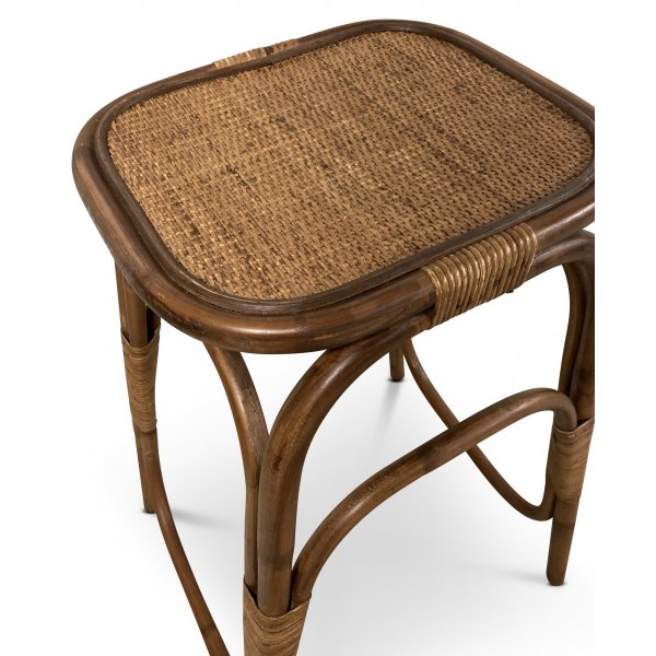 Borneo nattbord - Brunbeiset rotting Borneo nattbord - Brunbeiset rotting