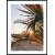 Posterworld - Motiv Palme - 50x70 cm
