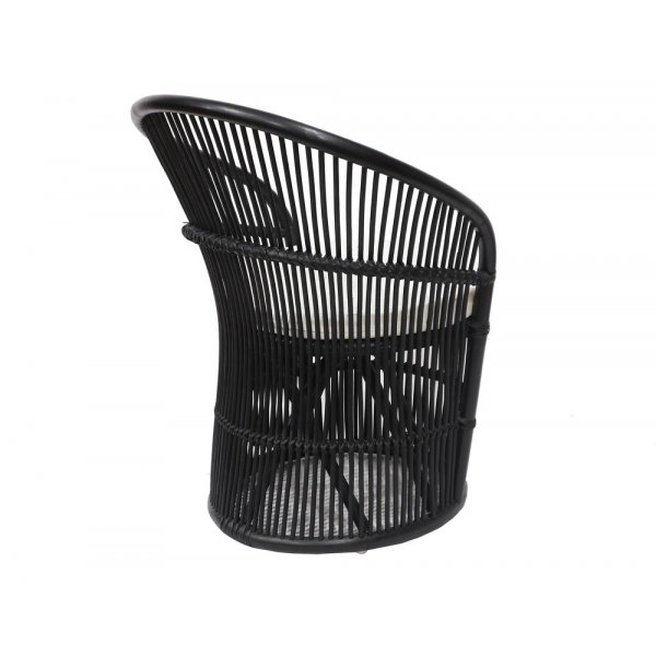 Narva lenestol - Svart rotting + Tekstilrens for møbler Narva lenestol - Svart rotting + Tekstilrens for møbler