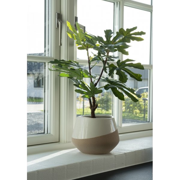 Fikentre kunstig plante - Grønn Fikentre kunstig plante - Grønn