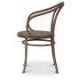 Bentwood karmstol No30 klassiker - Vintage/Rotting + Flekkfjerner for mbler