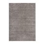 Ryematte Fidelma - Slv