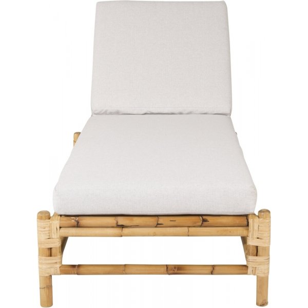 Cane solseng - Gr/rotting