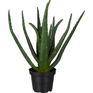 Aloe kunstig plante