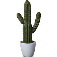 Kunstig plante - Kaktus H38 cm Kunstig plante - Kaktus H38 cm