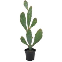 Kunstig plante - Verde Cactus 92 cm