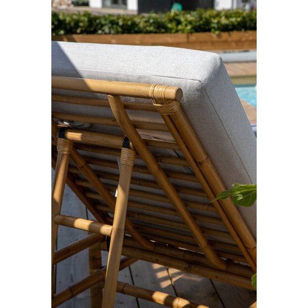 Cane solseng - Gr/rotting