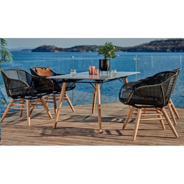 Ribe stol gr + Flekkfjerner for mbler