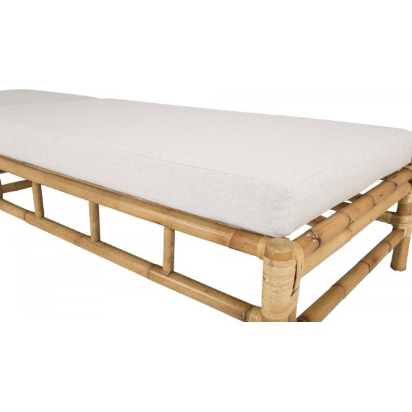 Cane solseng - Gr/rotting