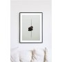 Posterworld - Motiv Ensom Bt - 50x70 cm
