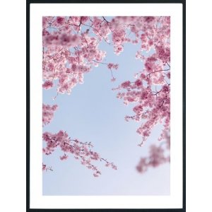 Posterworld - Motiv blomst p himmelen - 50x70 cm