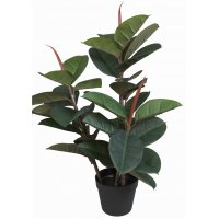 Kunstig plante - Gummifikus H80 cm Kunstig plante - Gummifikus H80 cm