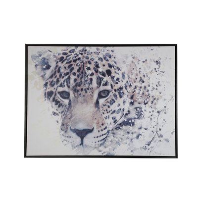 Bilde Gepard - 80x60 cm