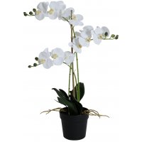 Kunstig plante - Orkidé 3 stengler H64 cm - Hvit Kunstig plante - Orkidé 3 stengler H64 cm - Hvit