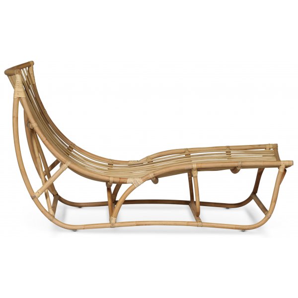 Amelia dagseng - Rotting natur Amelia dagseng - Rotting natur