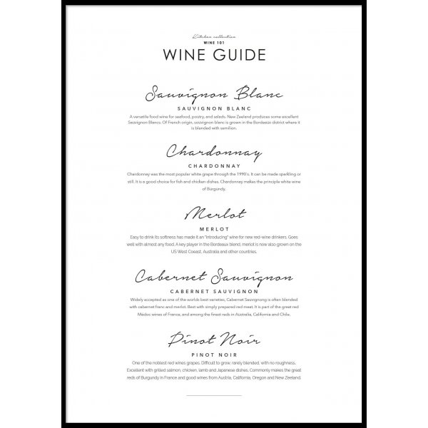 WINE GUIDE - Plakat 50x70 cm