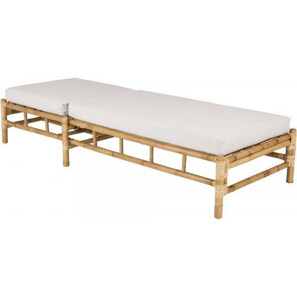 Cane solseng - Gr/rotting