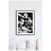 Posterworld 70x100 cm - Motiv Lilje Posterworld 70x100 cm - Motiv Lilje