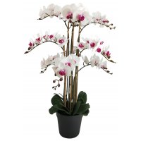 Kunstig plante - Orkidé 9 stengler H90 cm - Hvit/Rosa Kunstig plante - Orkidé 9 stengler H90 cm - Hvit/Rosa