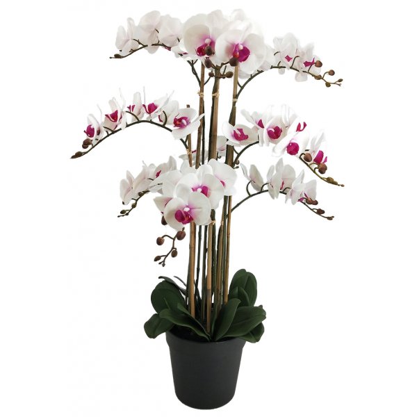 Kunstig plante - Orkid 9 stengler H90 cm - Hvit/Rosa