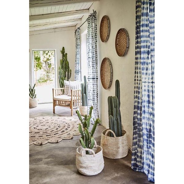 Antonio lenestol bambus - Natur